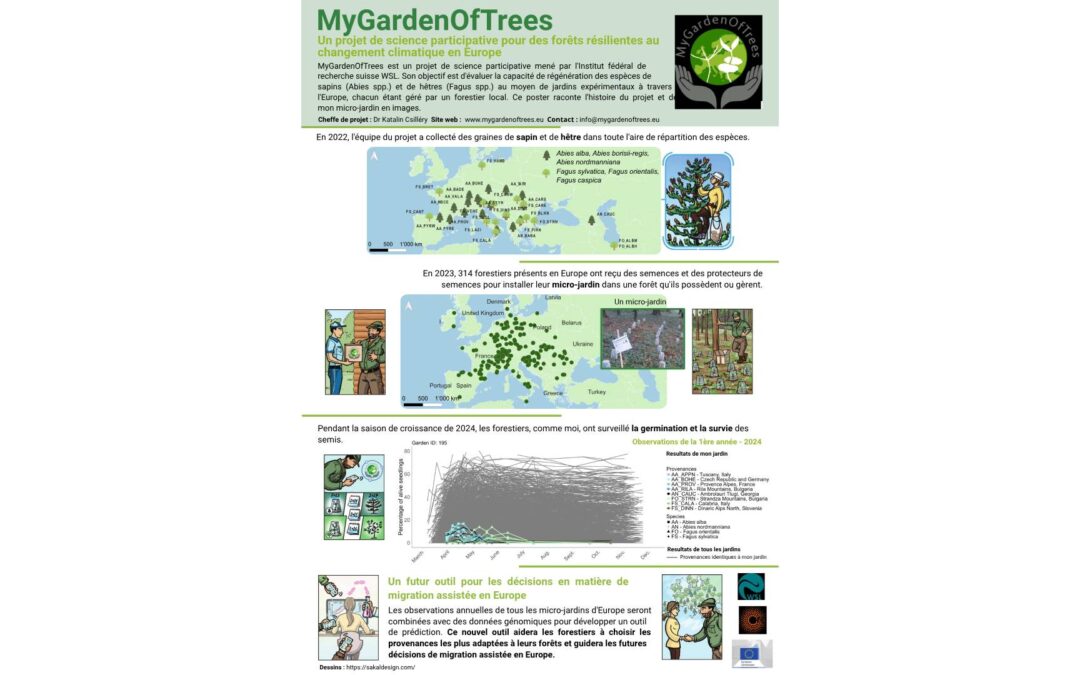 MyGardenOfTrees