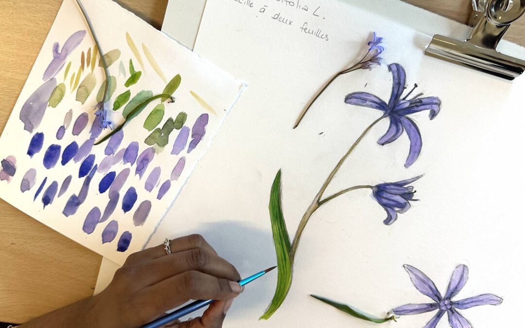 Dessin scientifique de terrain