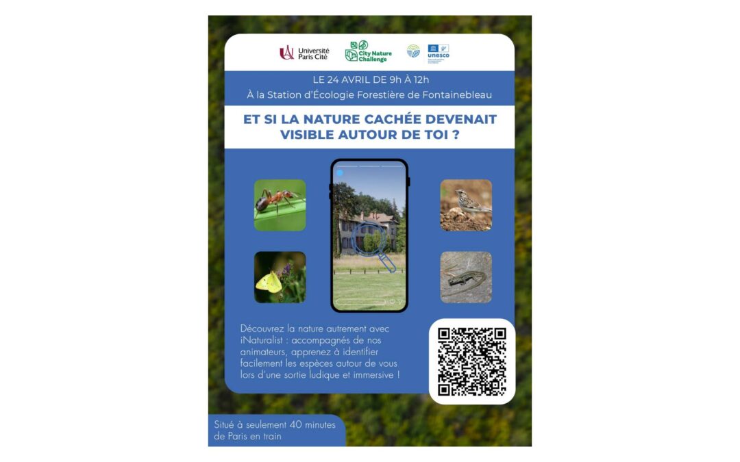 City Nature Challenge